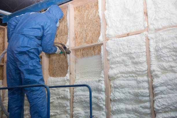 Eco-Friendly Insulation Solutions in Junction City, CA